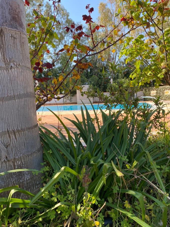 מרסאלה Villa Rosemary מראה חיצוני תמונה